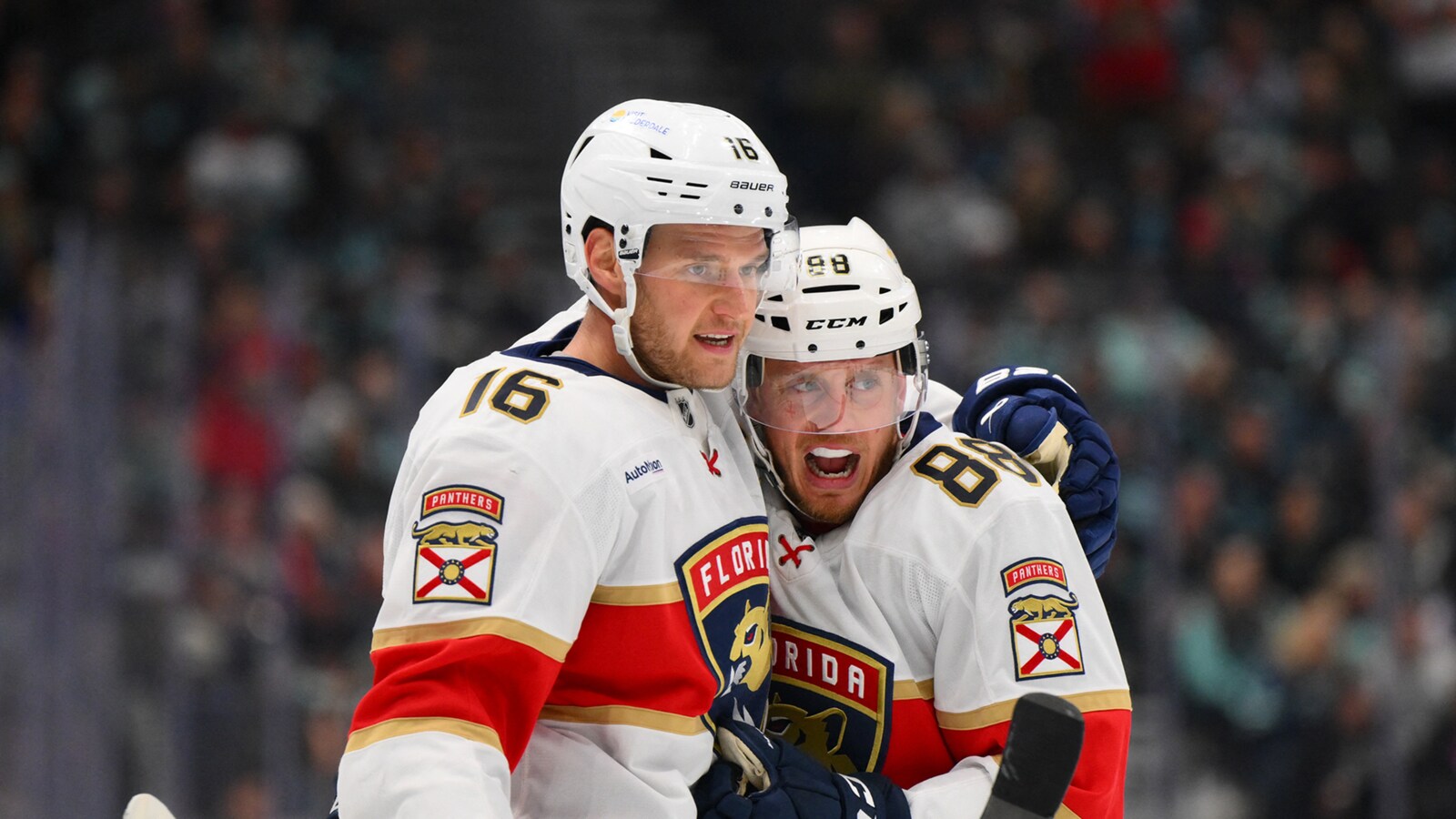 jaakiekko/nhl/toronto-florida/s25050526353622353