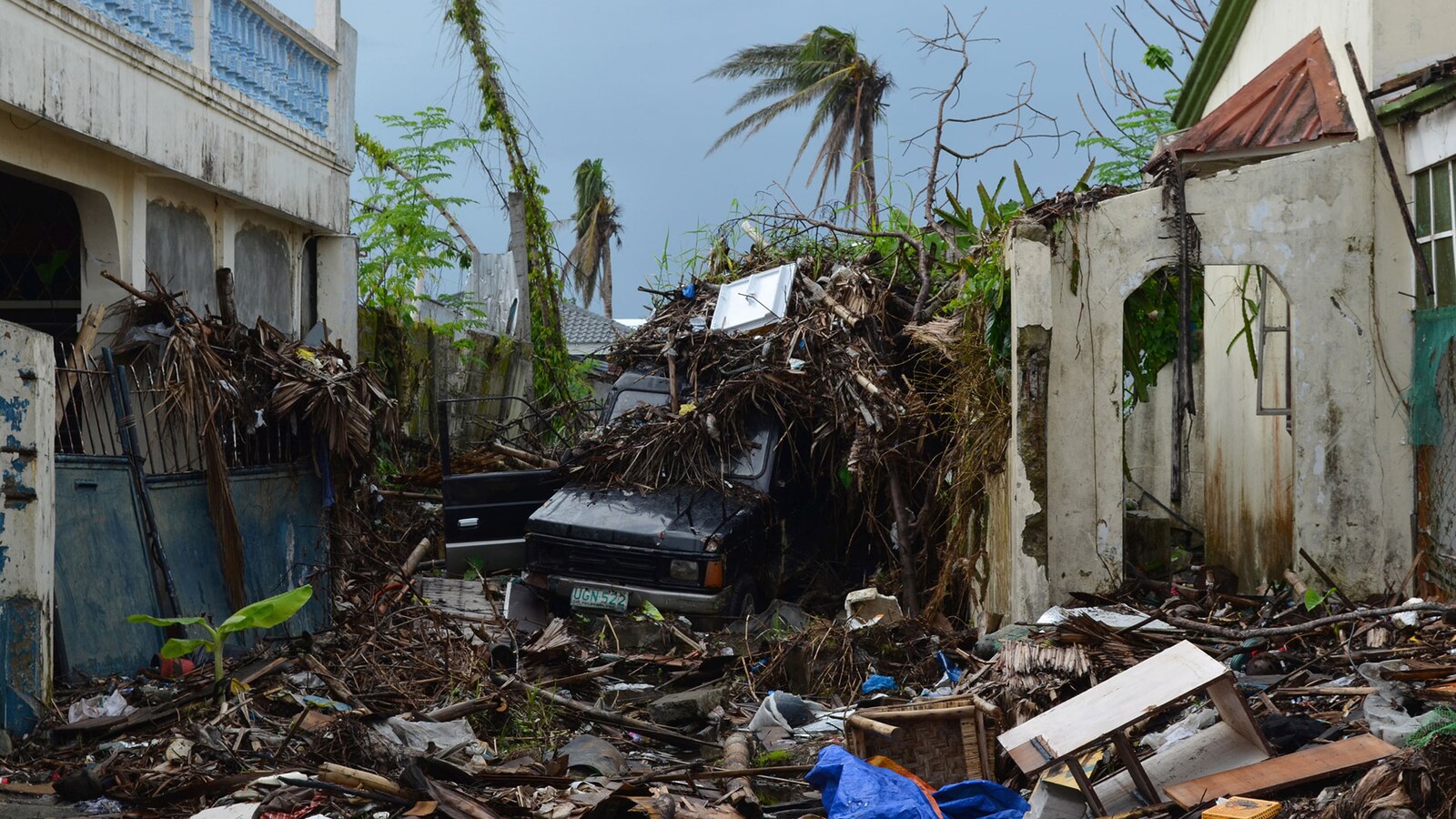 Hurricane, a wind odyssey