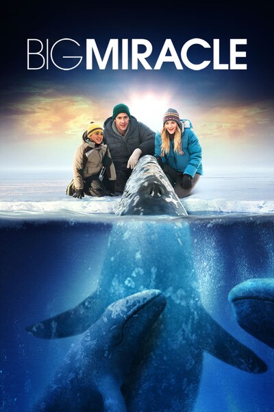 big-miracle-2012