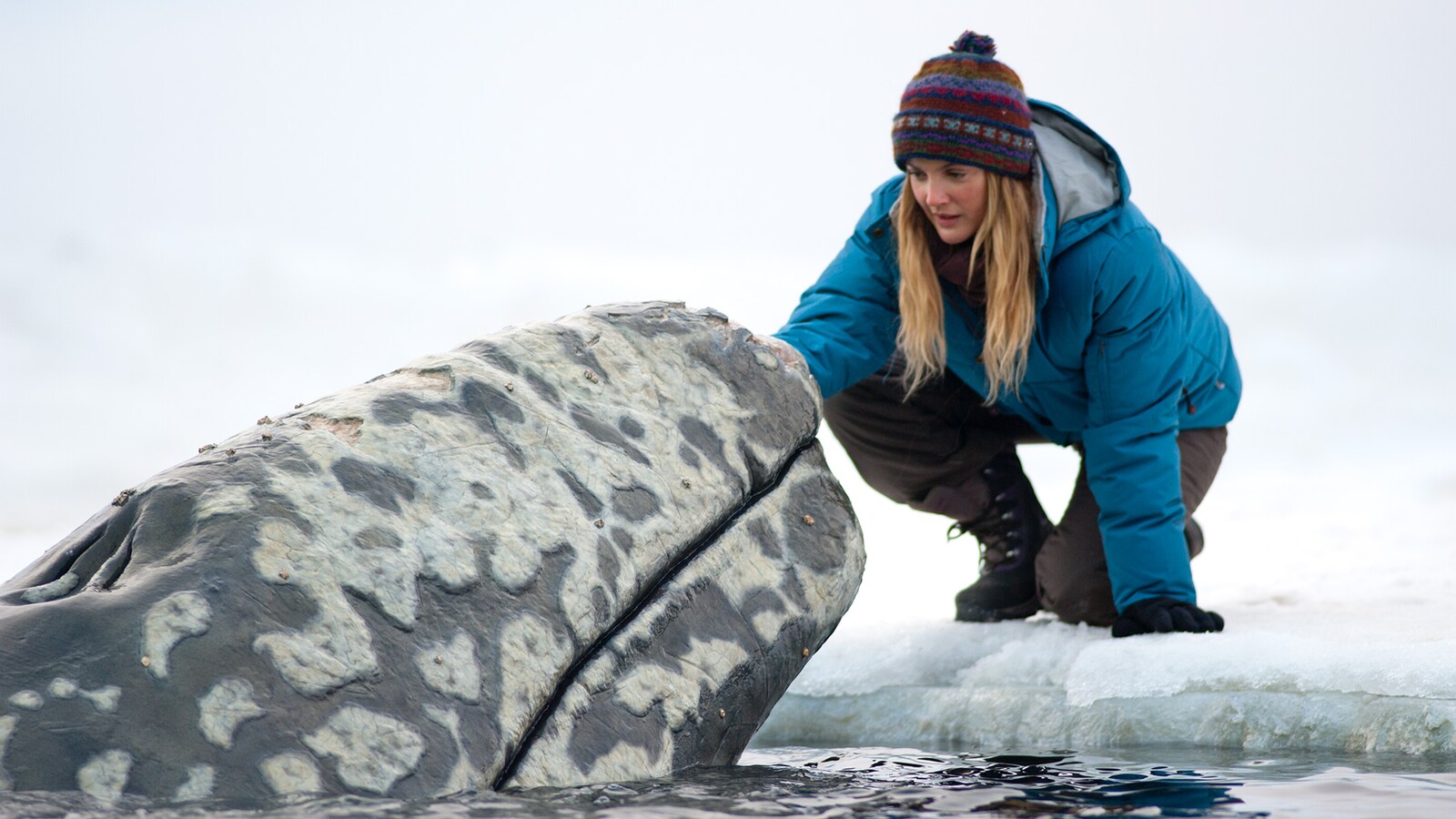 Big Miracle