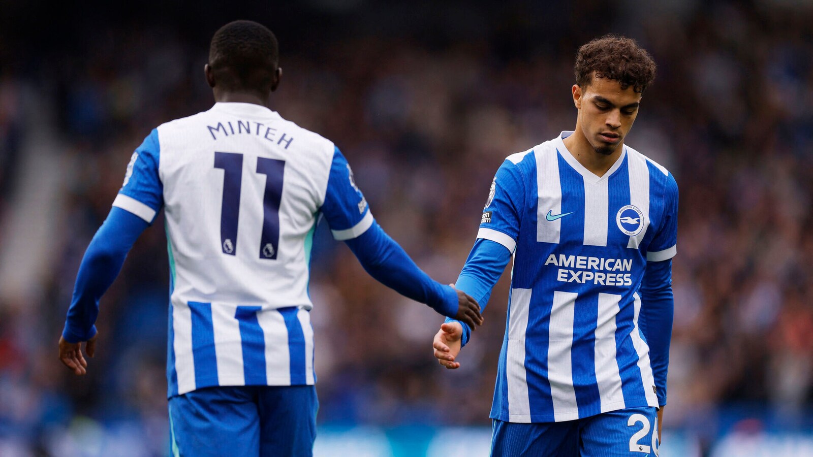 Brighton - Nottingham Forest