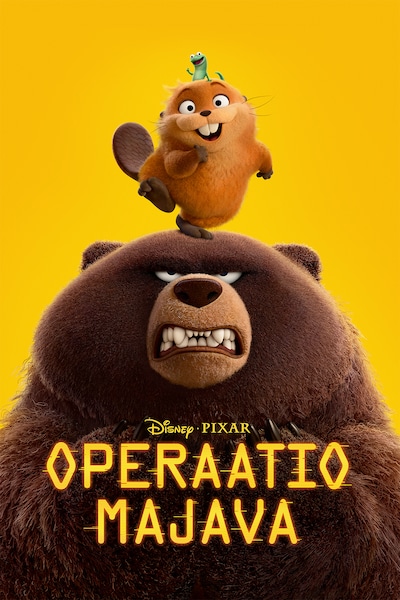 operaatio-majava-2026