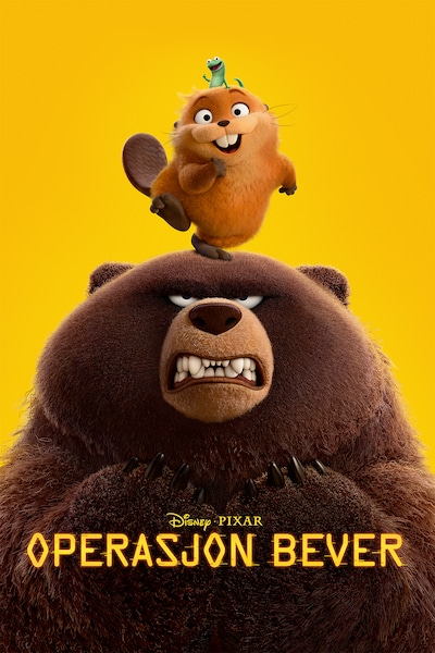operasjon-bever-2026