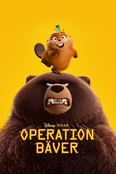 operation-baver-2026