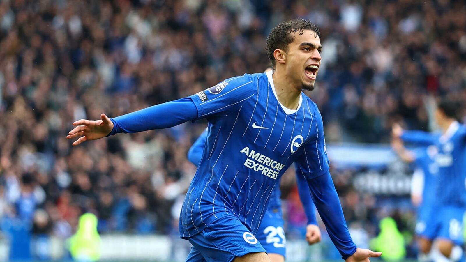Brighton - Brentford