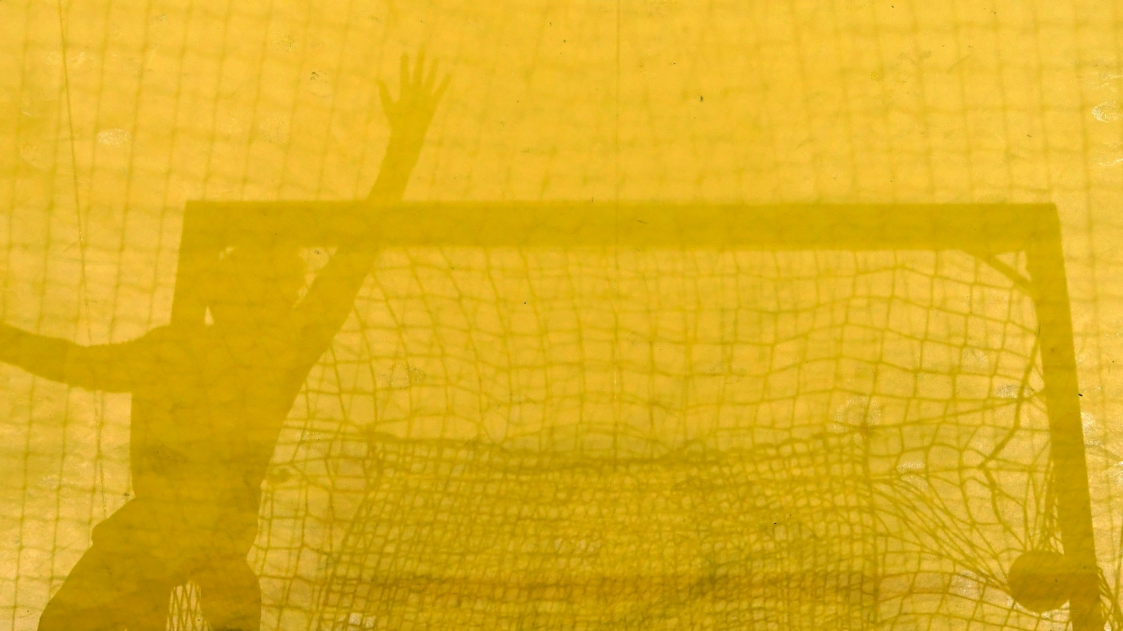 GWD Minden - Rhein-Neckar Löwen