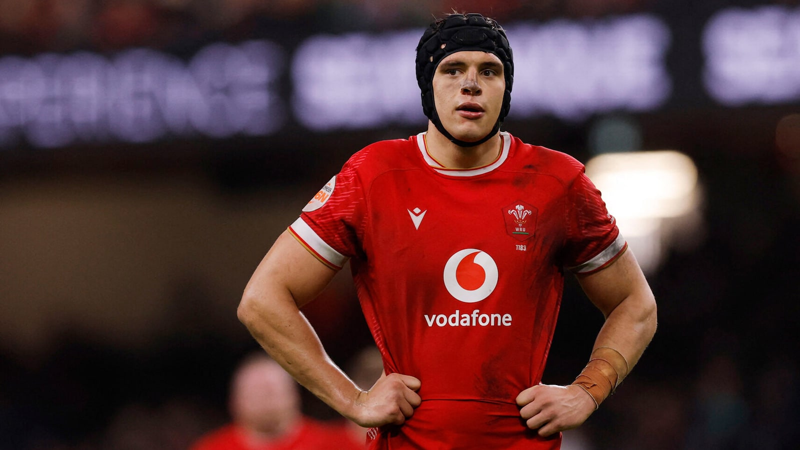 Wales - Etelä-Afrikka