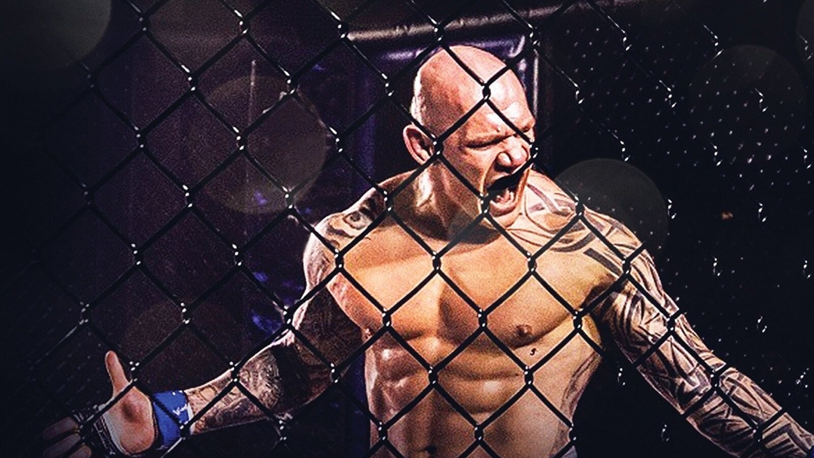 tapped-out-2014