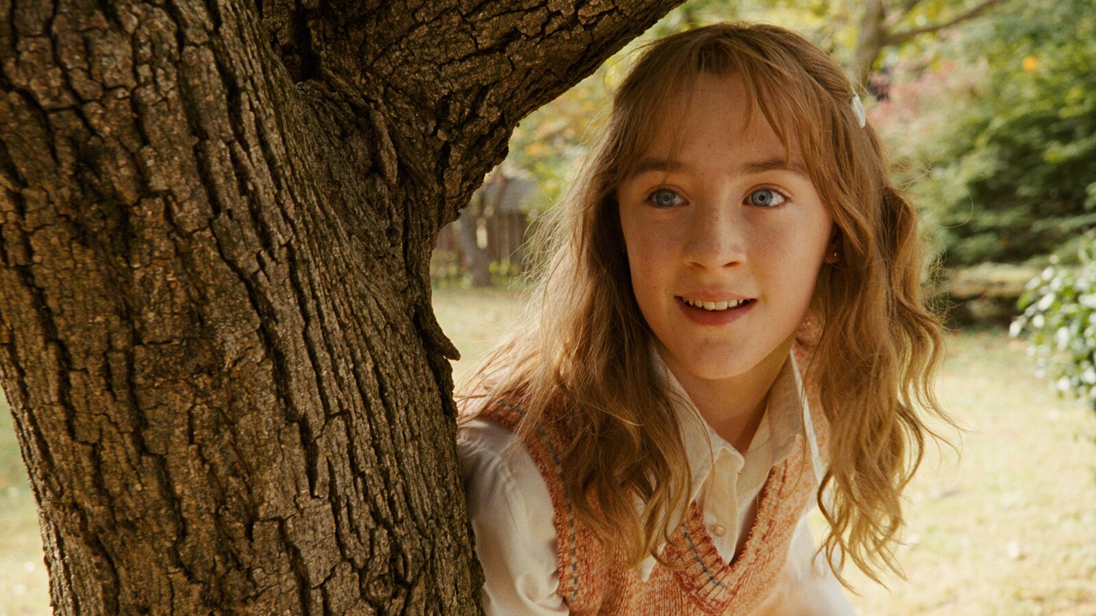 The Lovely Bones