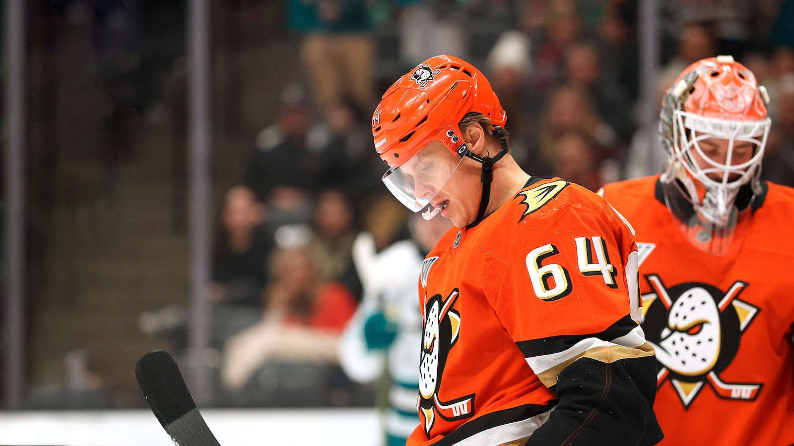 Anaheim - Vegas