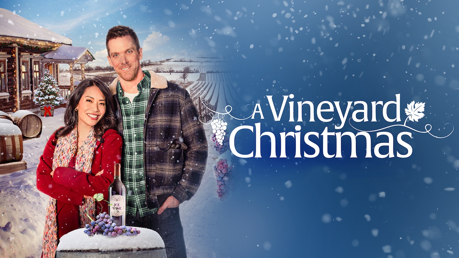A Vineyard Christmas