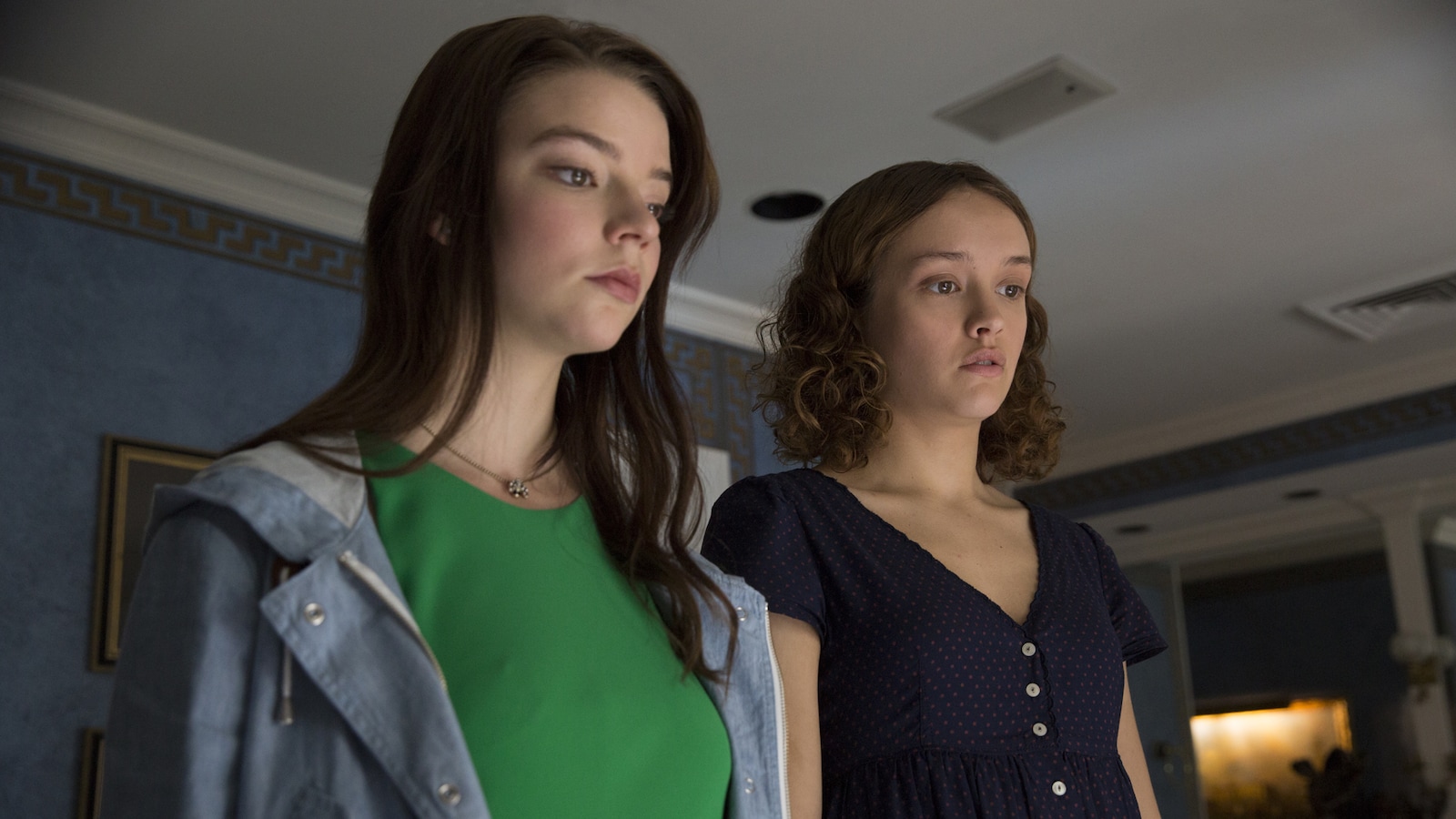 Thoroughbreds
