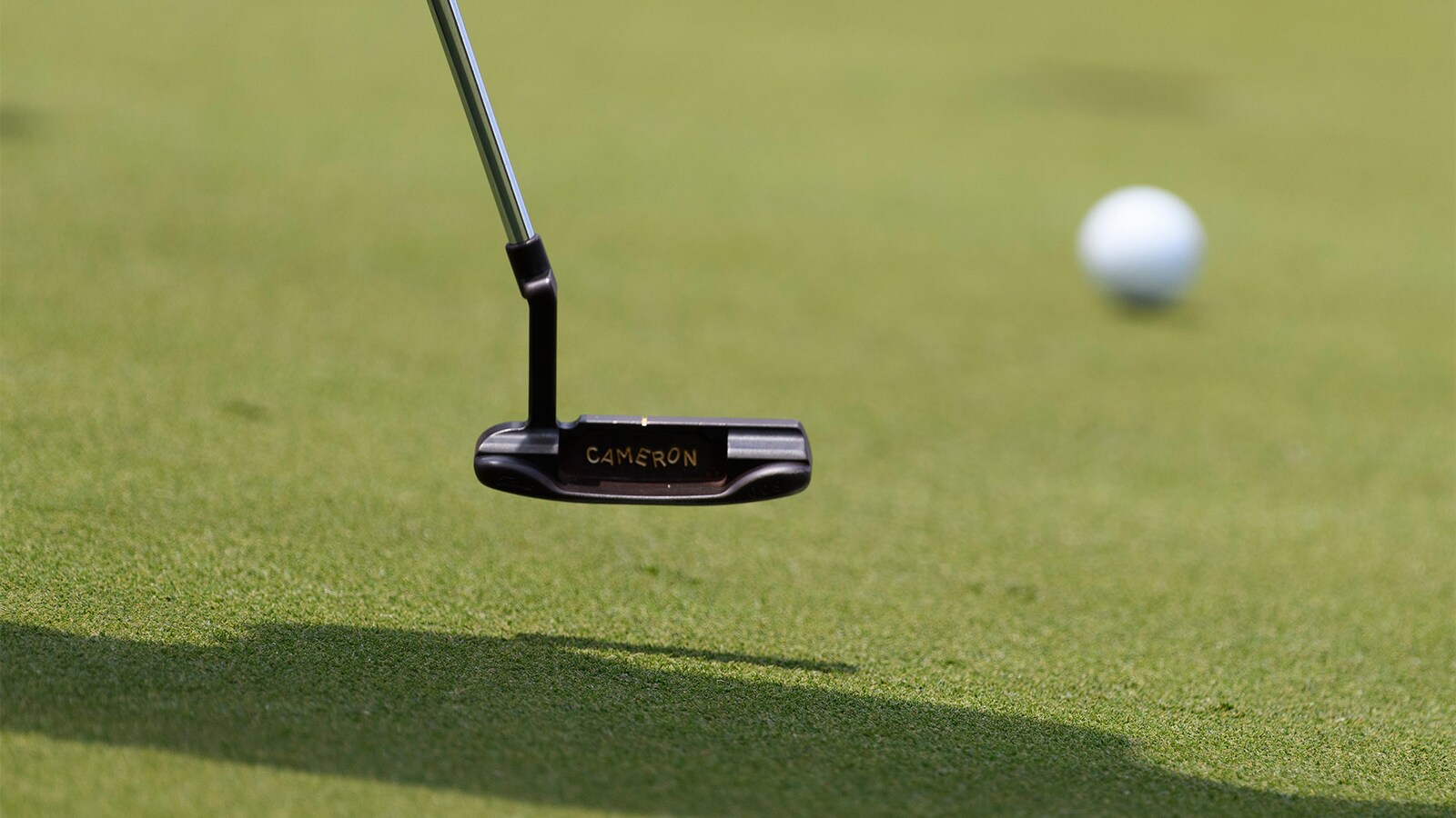 Africa Amateur Championship