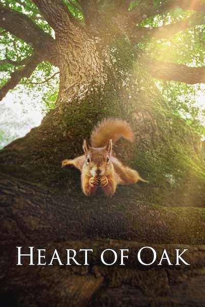 heart-of-oak-2022