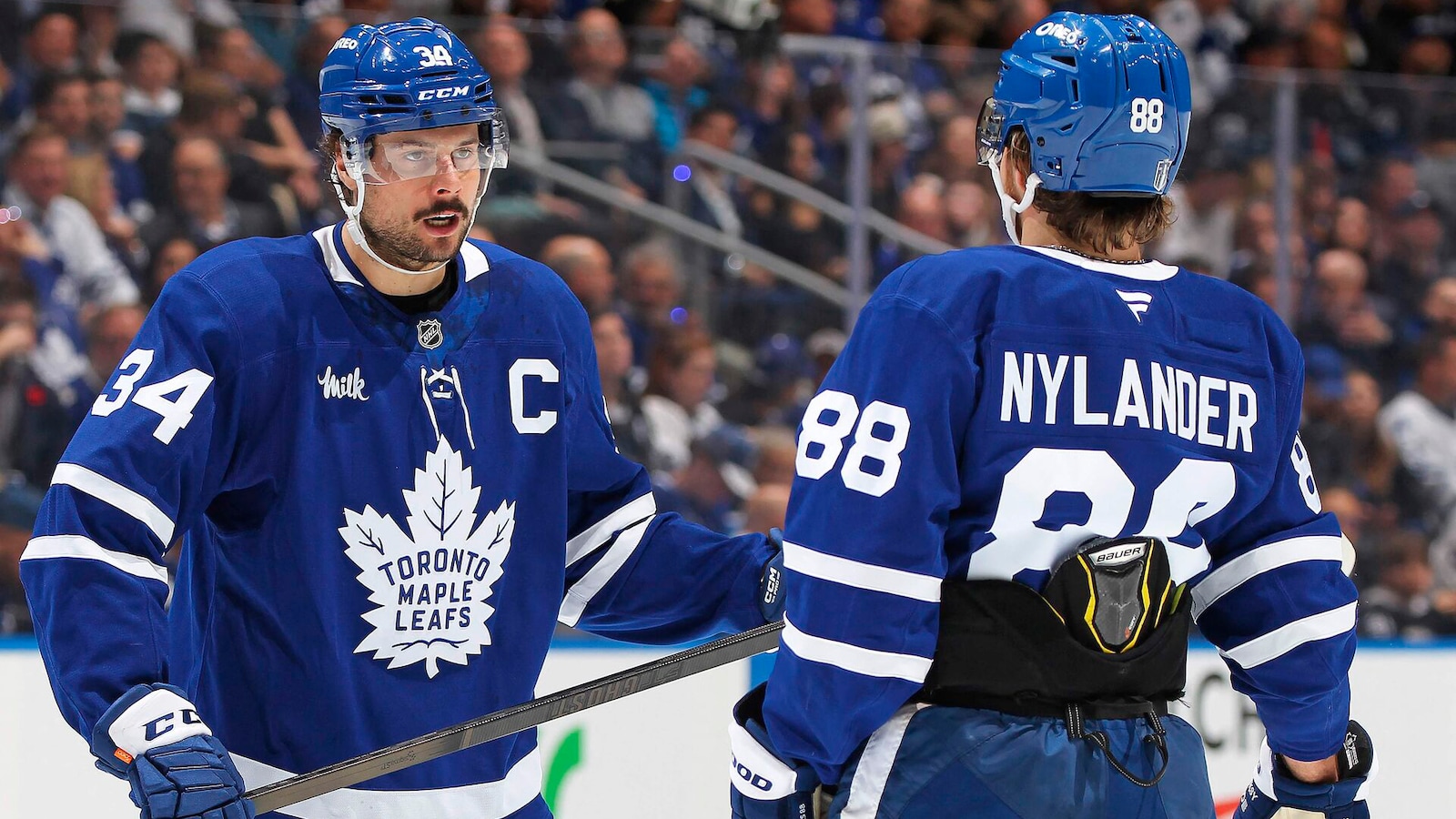 ishockey/nhl/toronto-florida/s25050557616149166