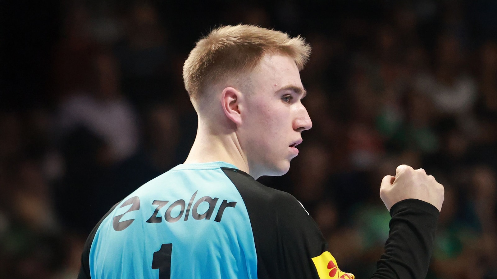 Rhein-Neckar Löwen - Füchse Berlin