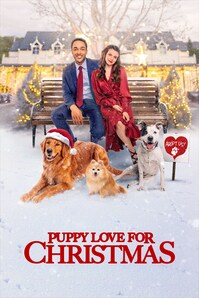 Puppy Love for Christmas - Film online på Viaplay