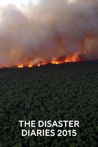 the-disaster-diaries-2015-2015