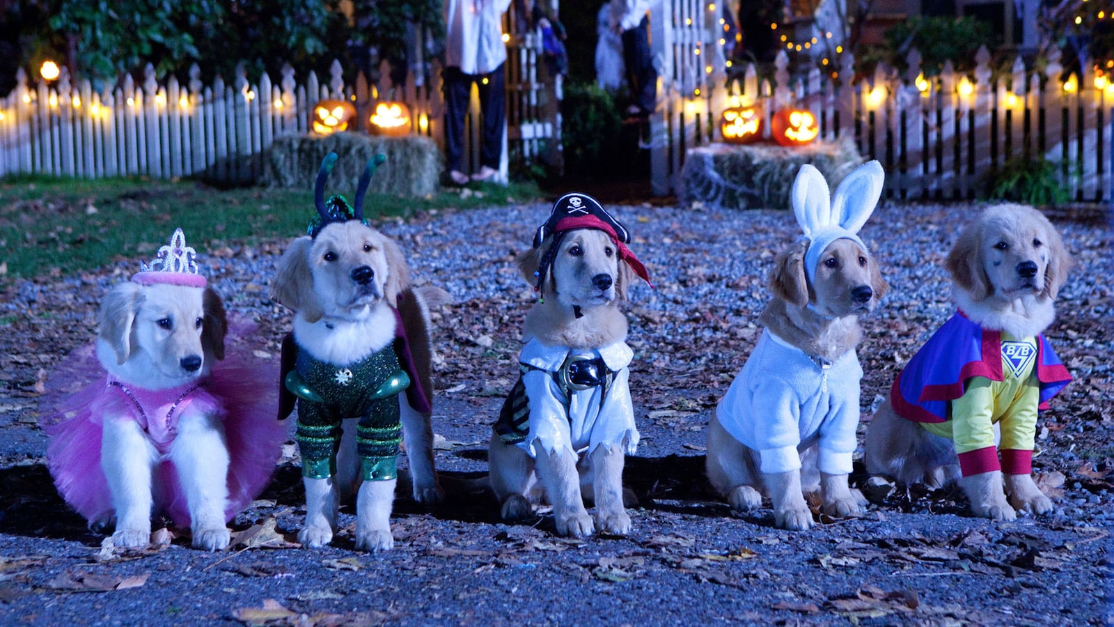 spooky-buddies-valpganget-och-spokhunden-2011