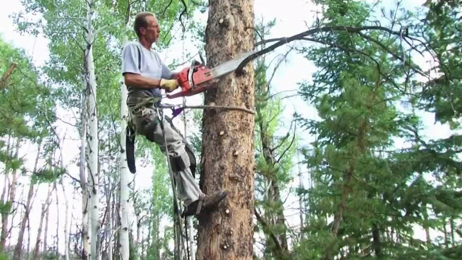 Ax Men