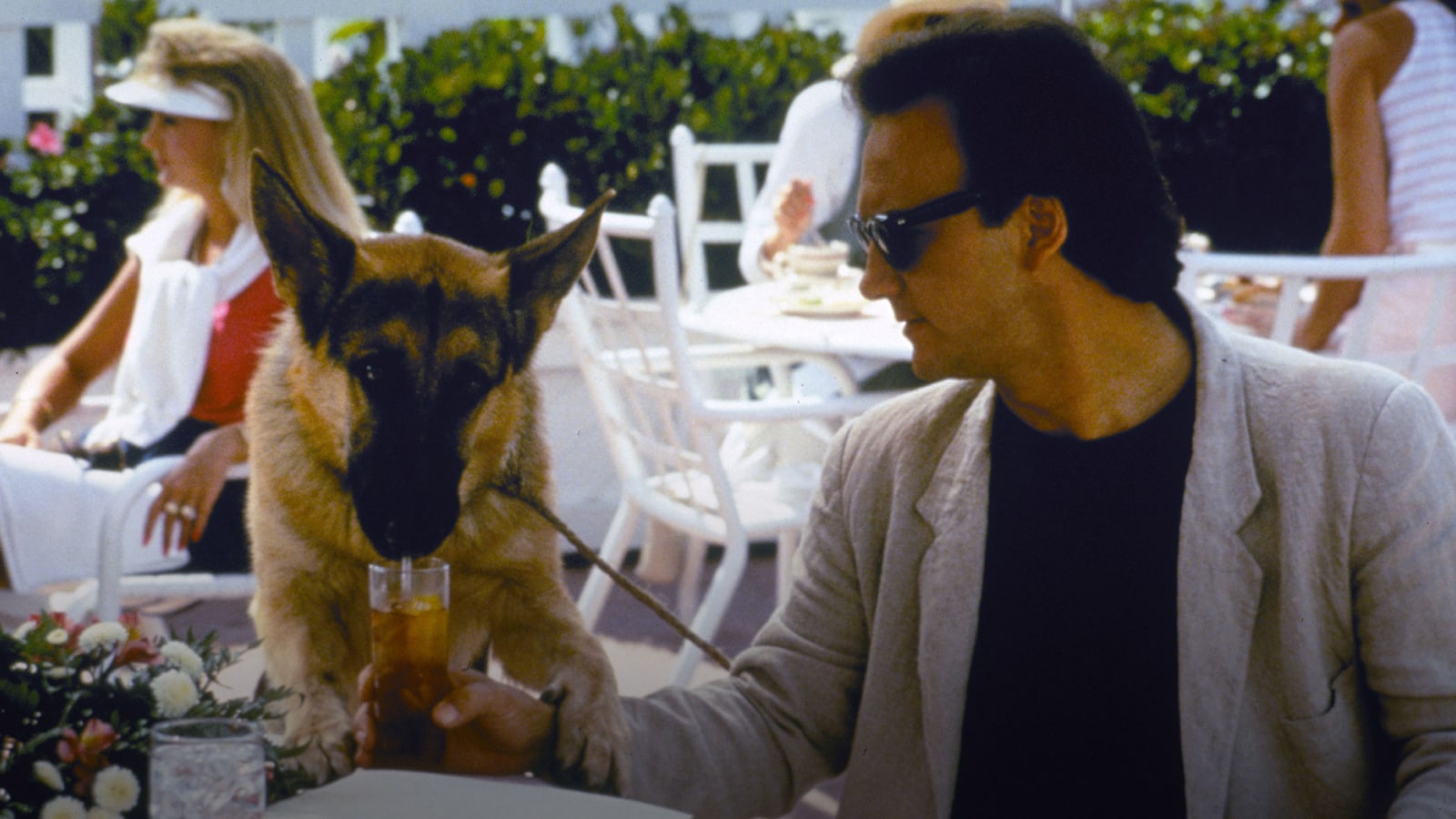 Hund og mand imellem