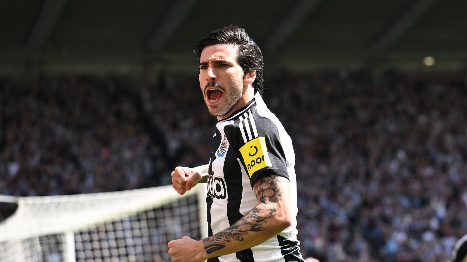 Newcastle - Espanyol
