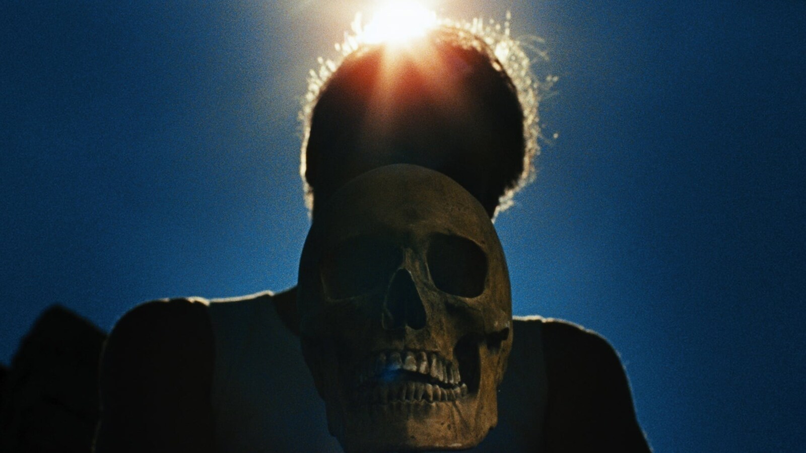 Let the Corpses Tan