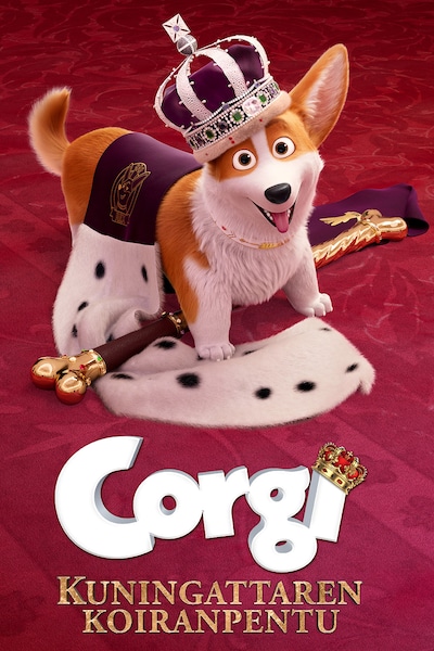 corgi-kuningattaren-koiranpentu-2019