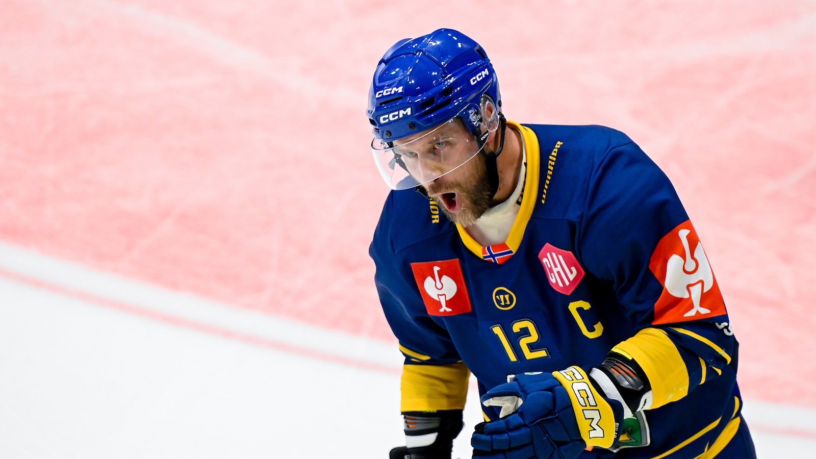 Storhamar - Frölunda