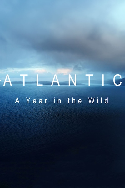 atlantic-a-year-in-the-wild