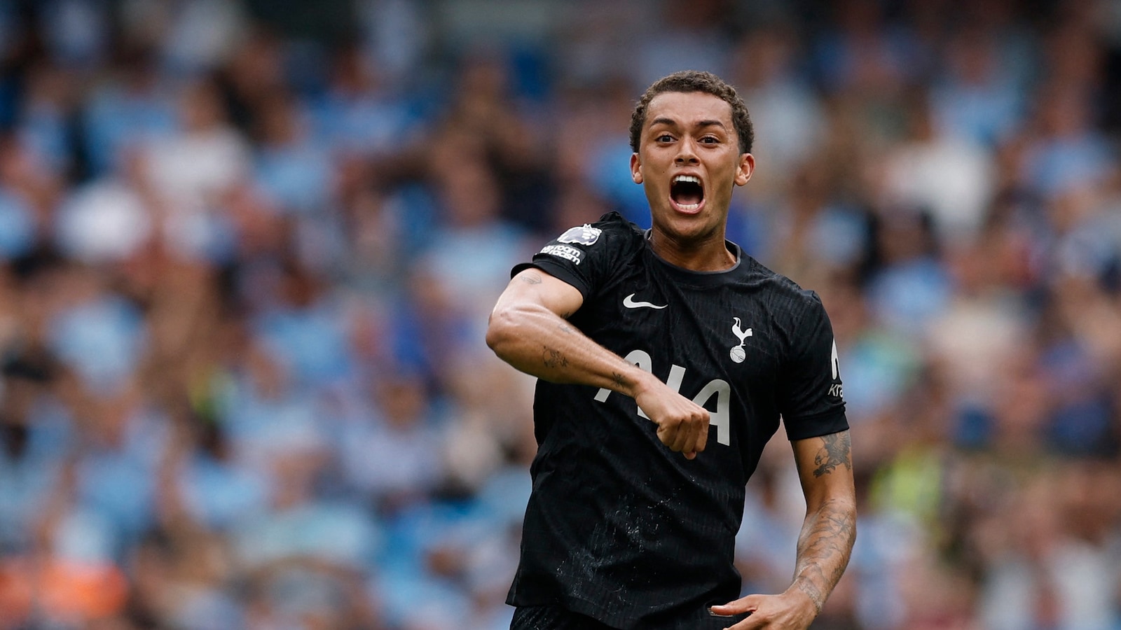 Brighton - Tottenham