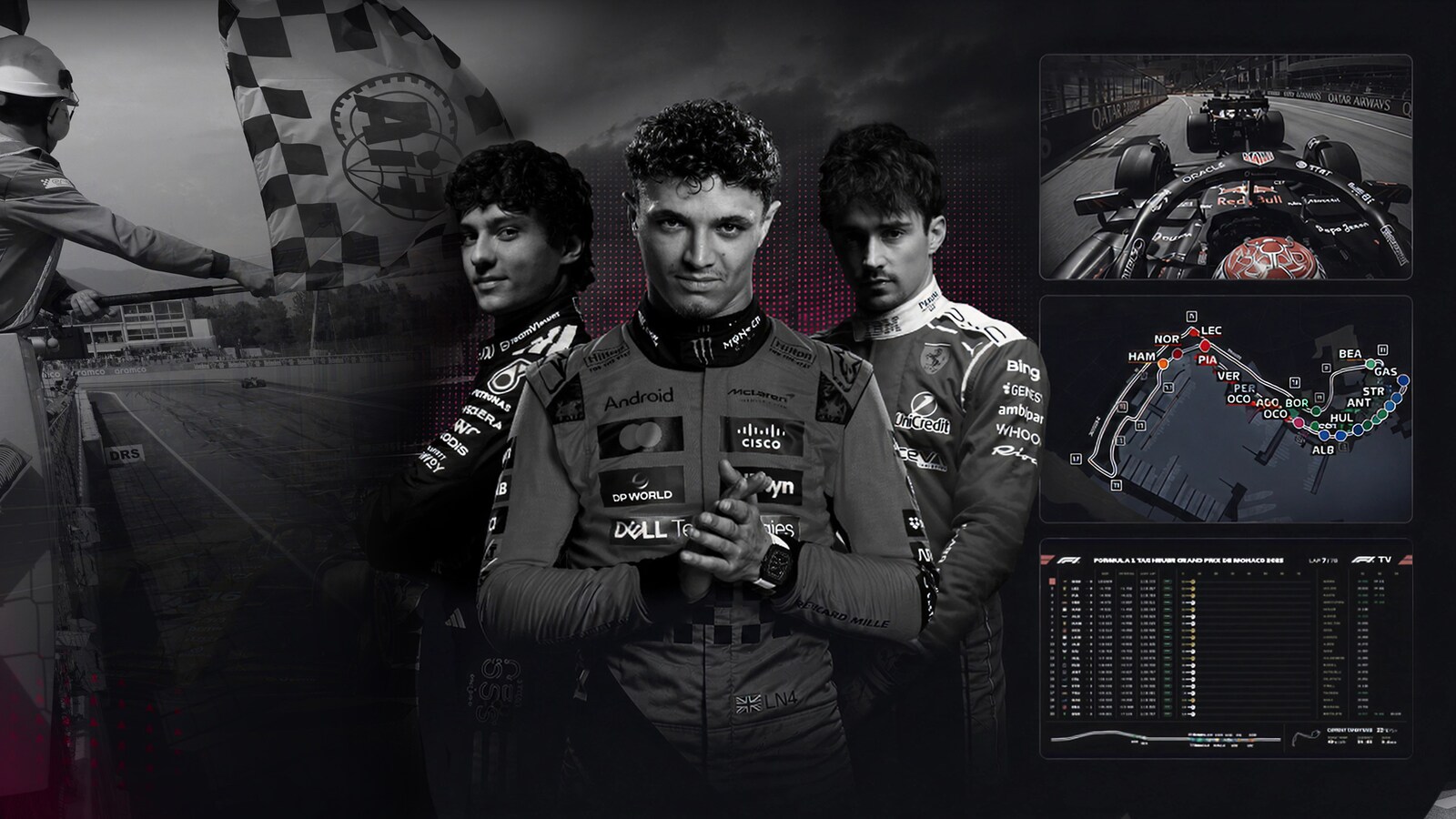 F1 Multiview