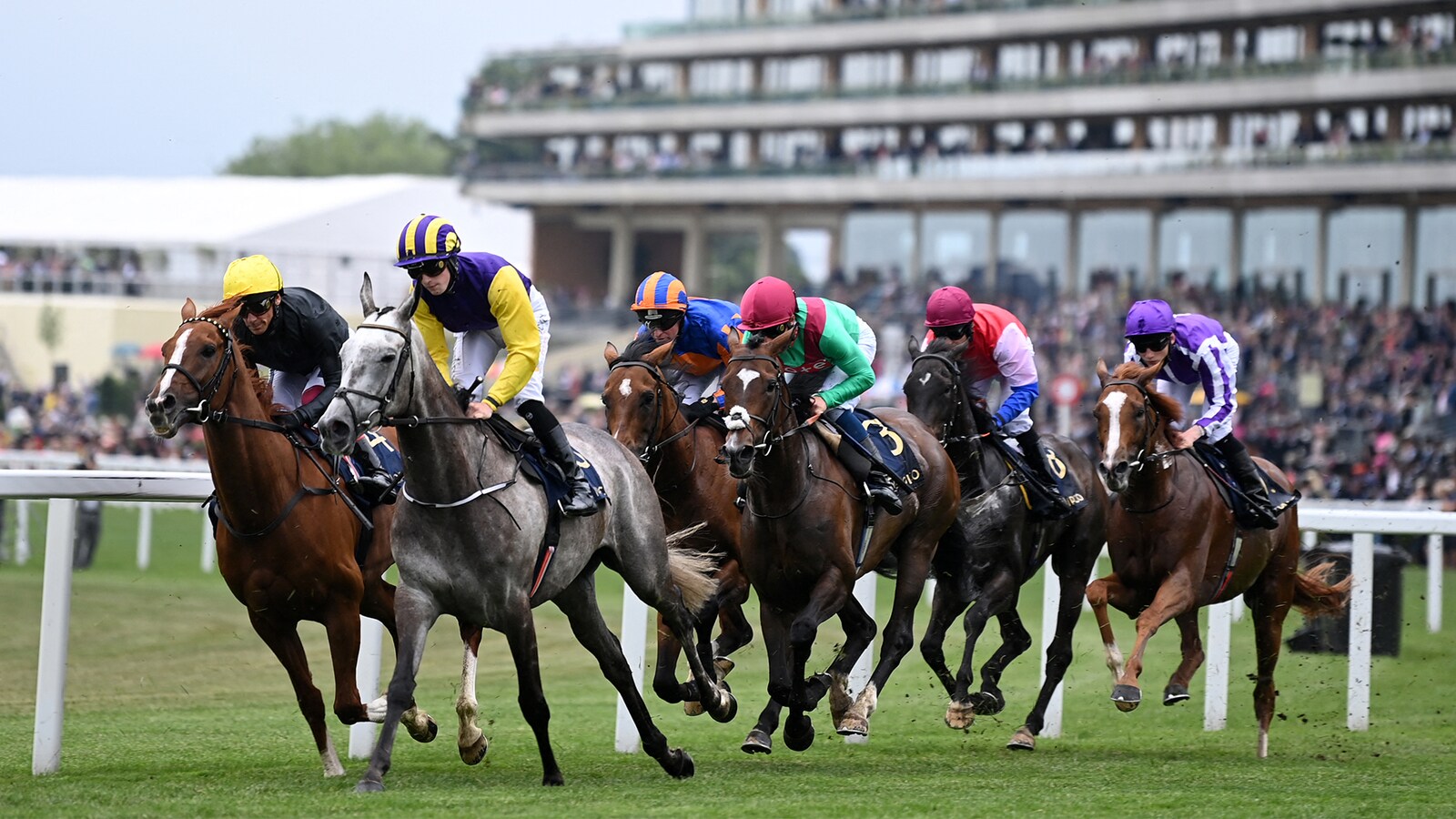 Royal Ascot