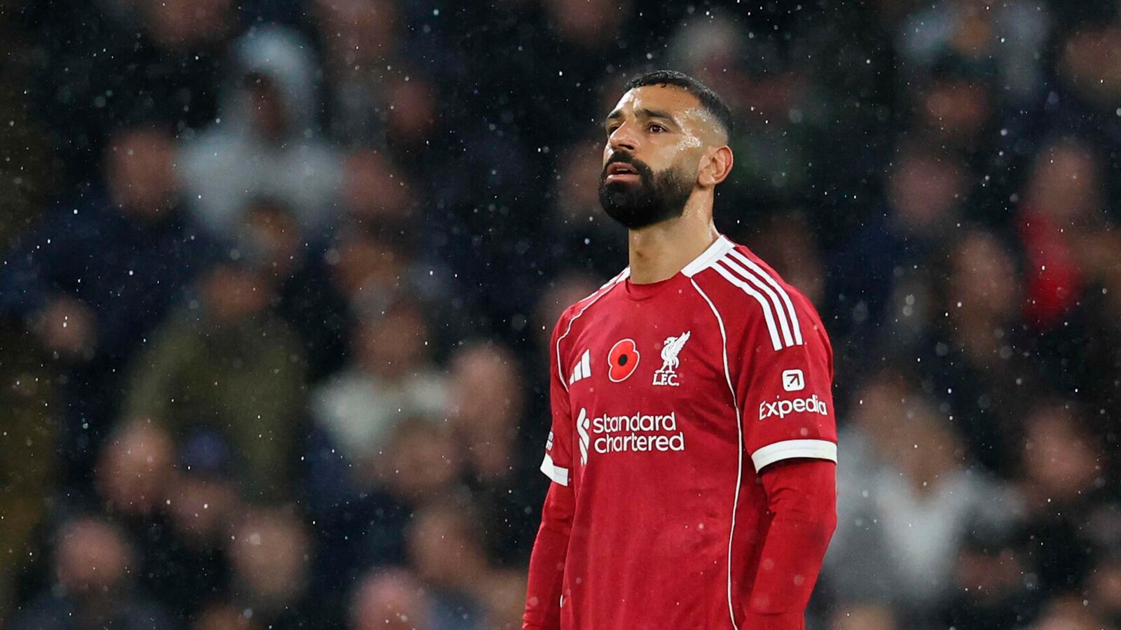 Liverpool - Sunderland