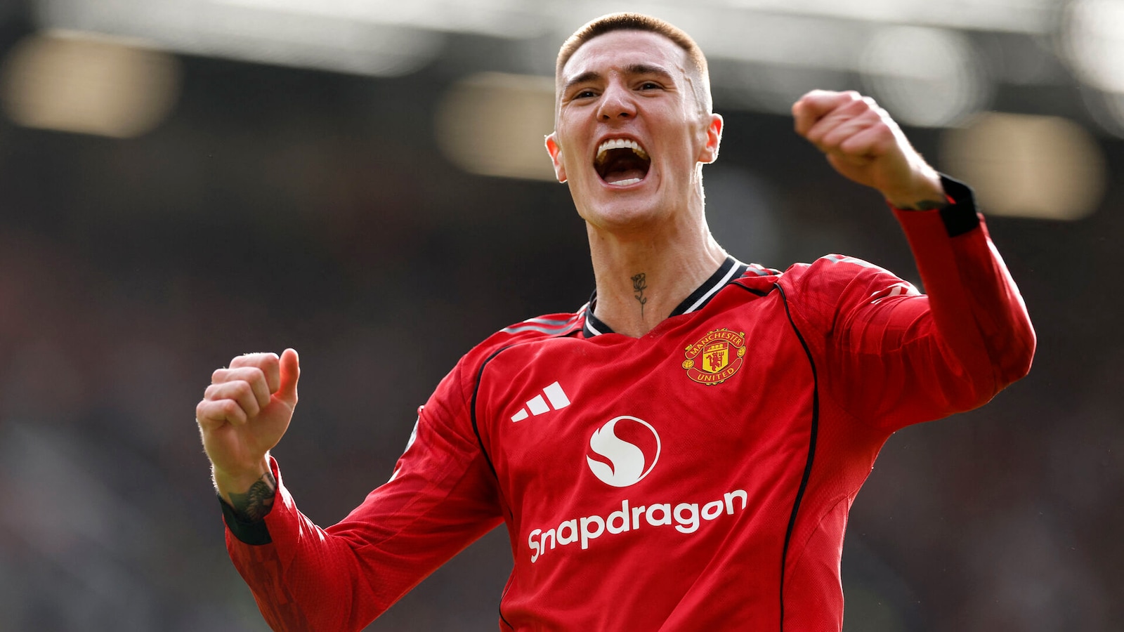 Brighton - Man United