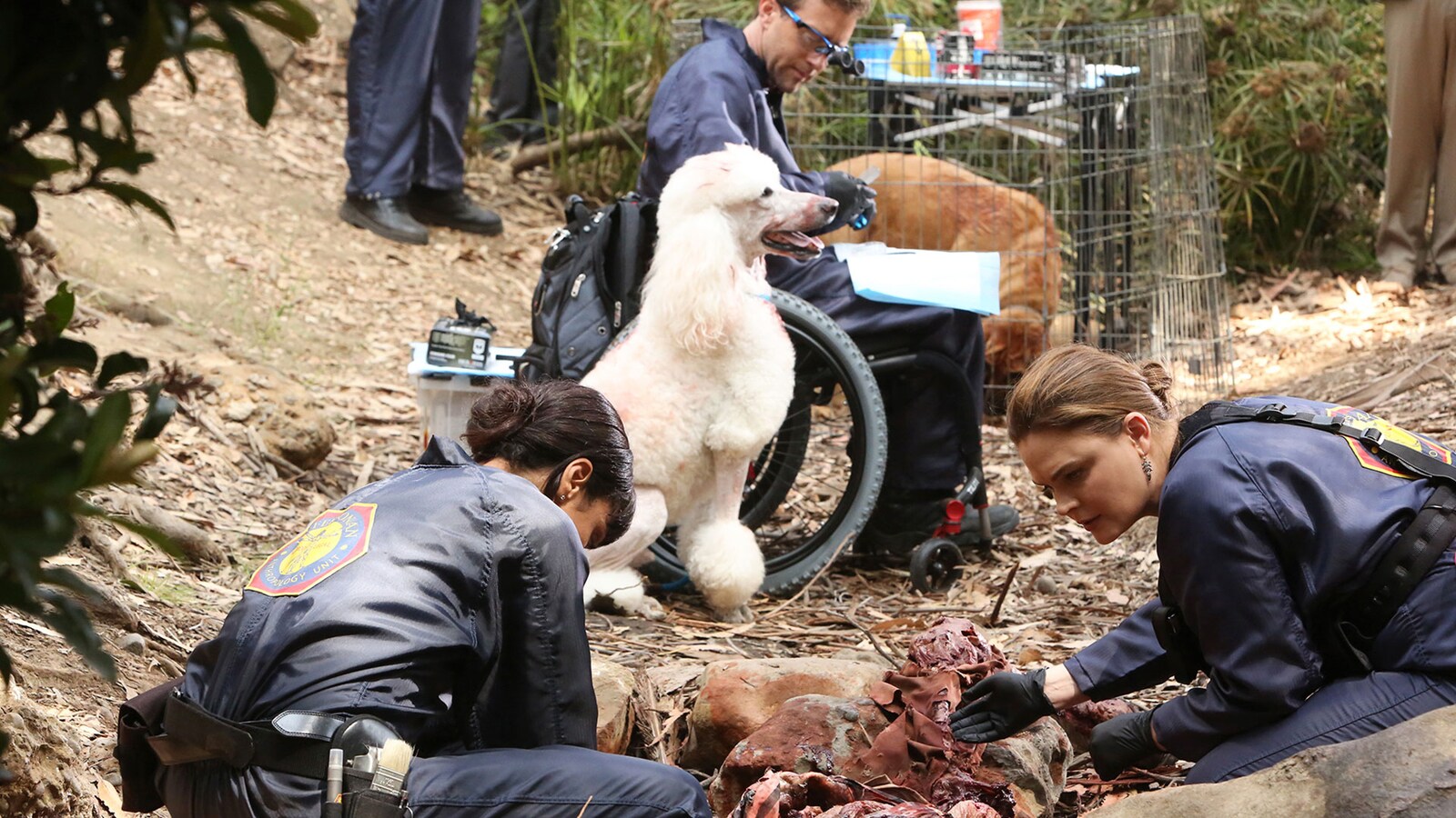 The Brain in the Bot