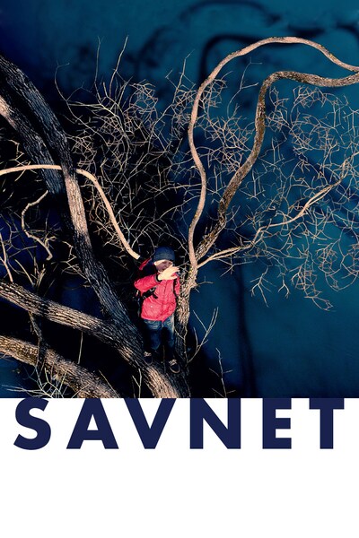 savnet-2017