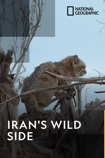 irans-wild-side-2014