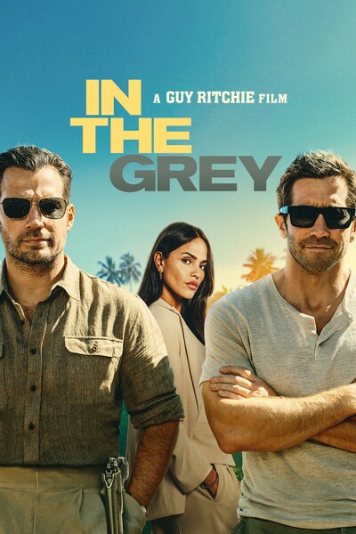 in-the-grey-2026