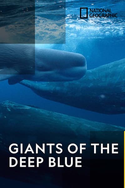 giants-of-the-deep-blue-2019