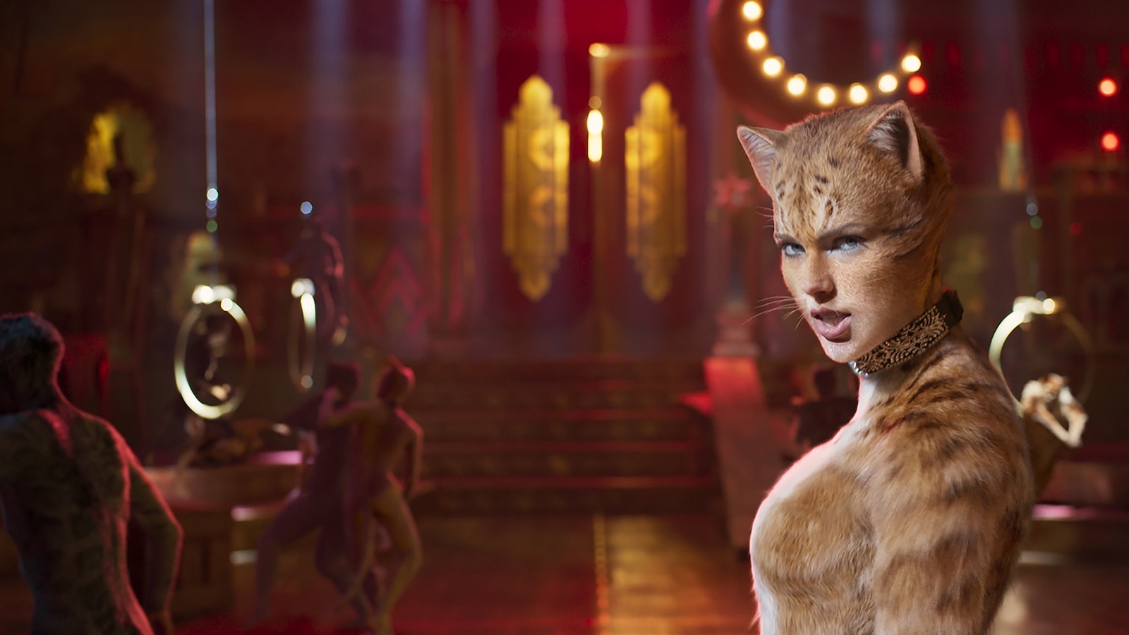 Cats!