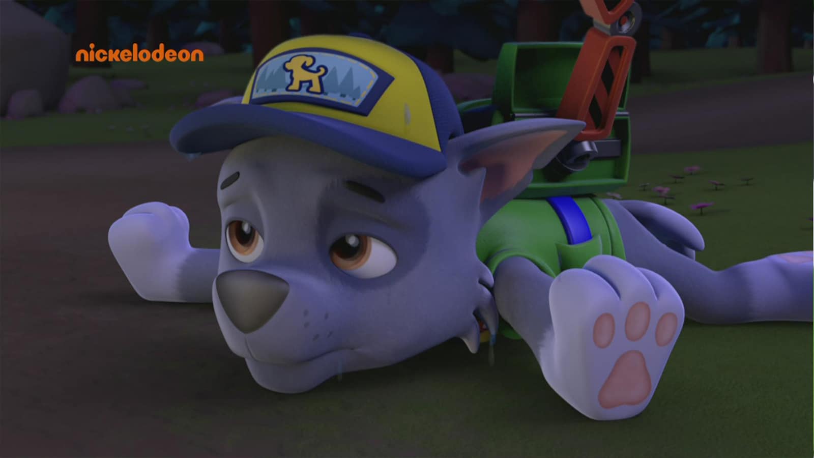 paw-patrol/saeson-1/afsnit-22