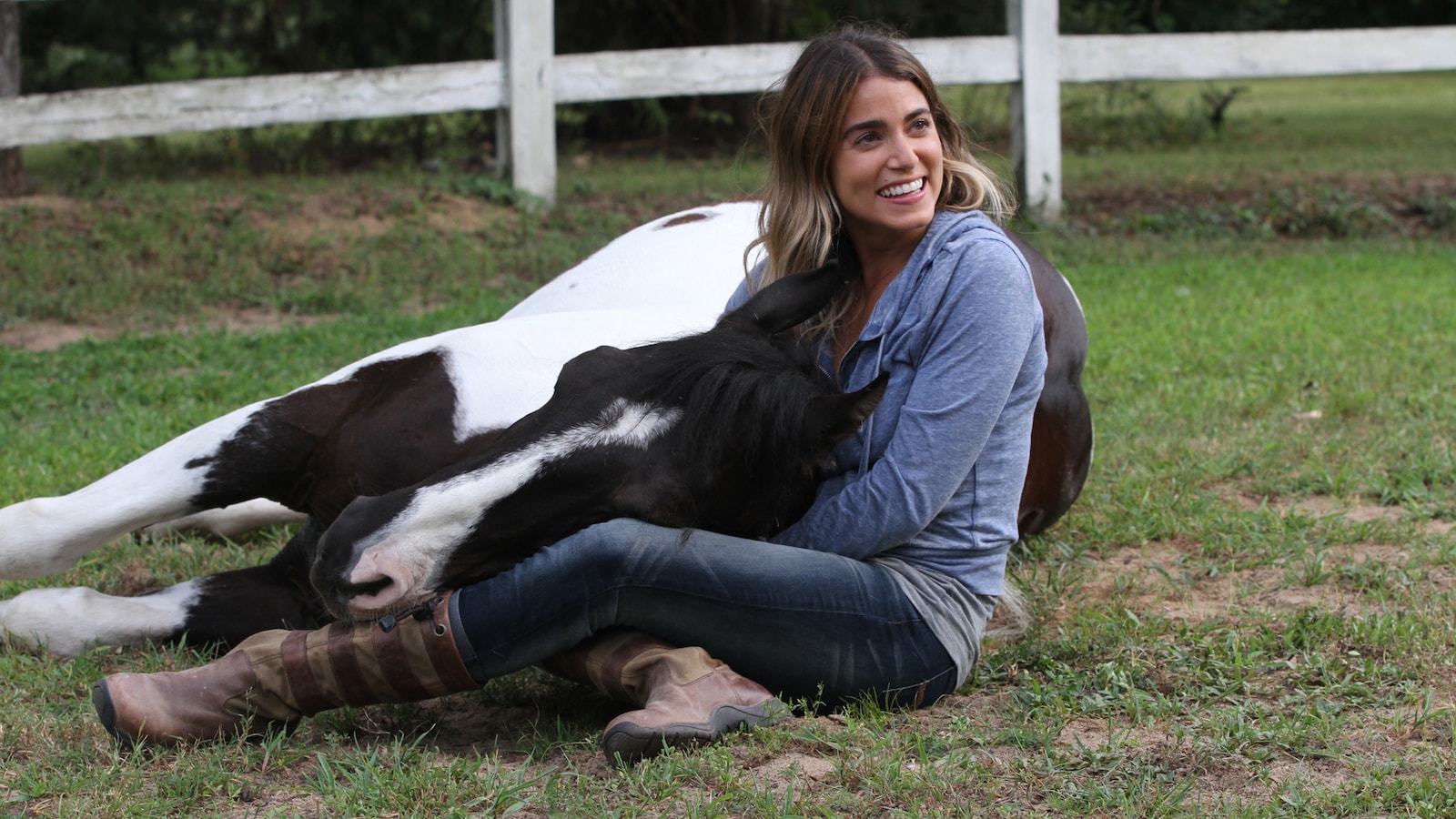 a-sunday-horse-2015