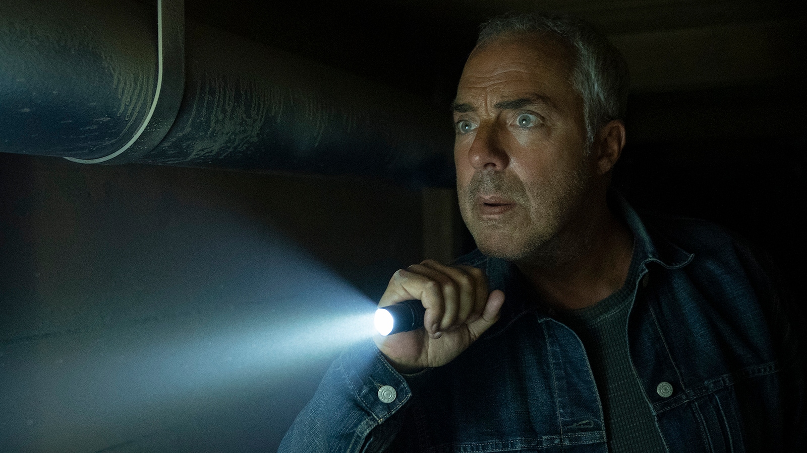 Bosch: Legacy