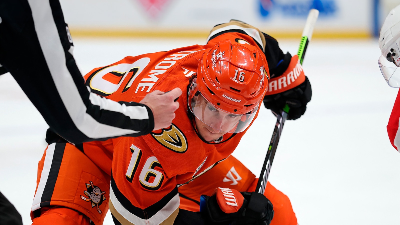 Anaheim - Carolina