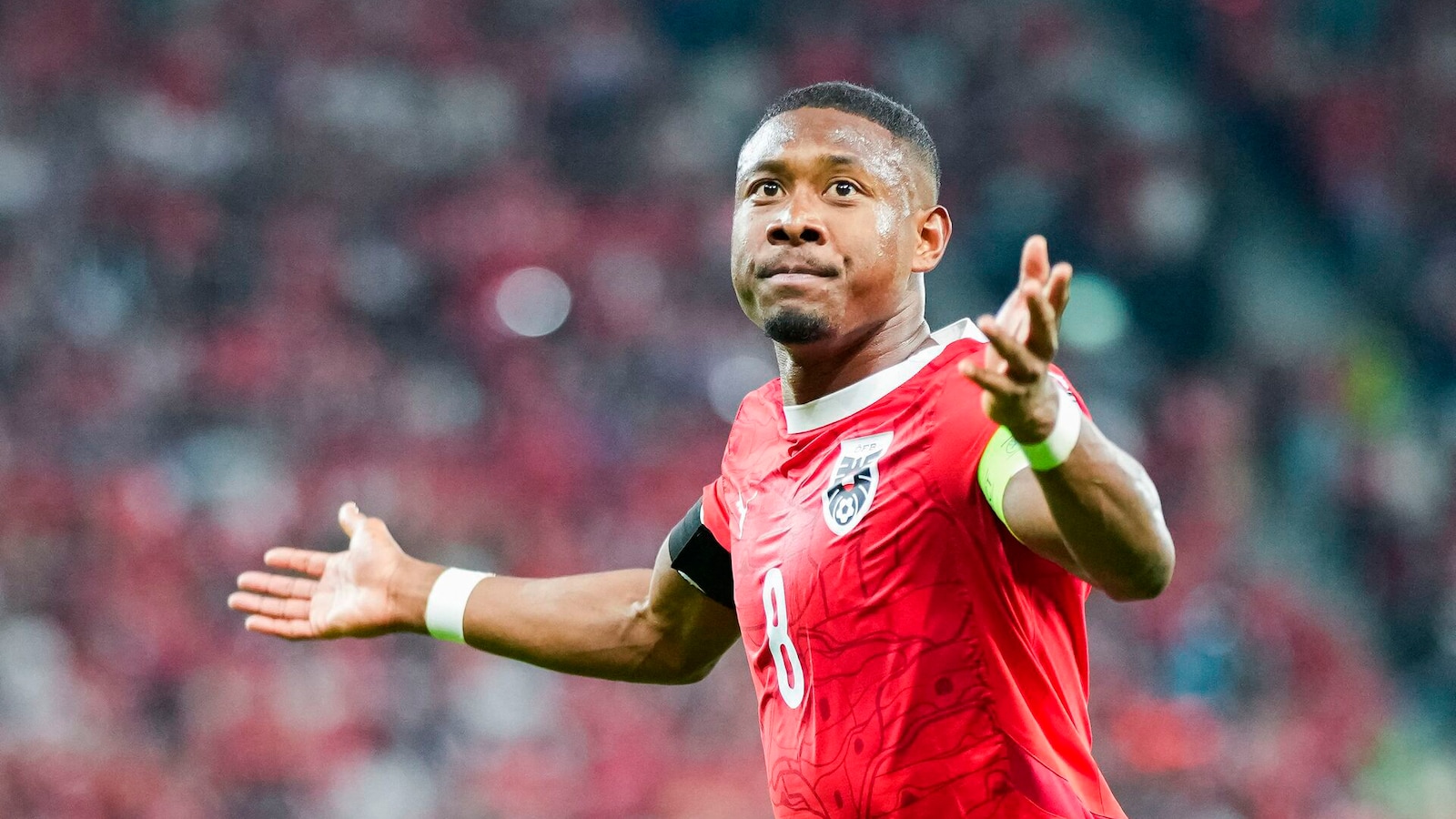 Österrike - Bosnien-Hercegovina