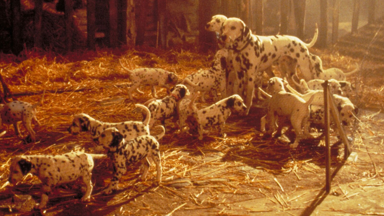 101 Dalmatians