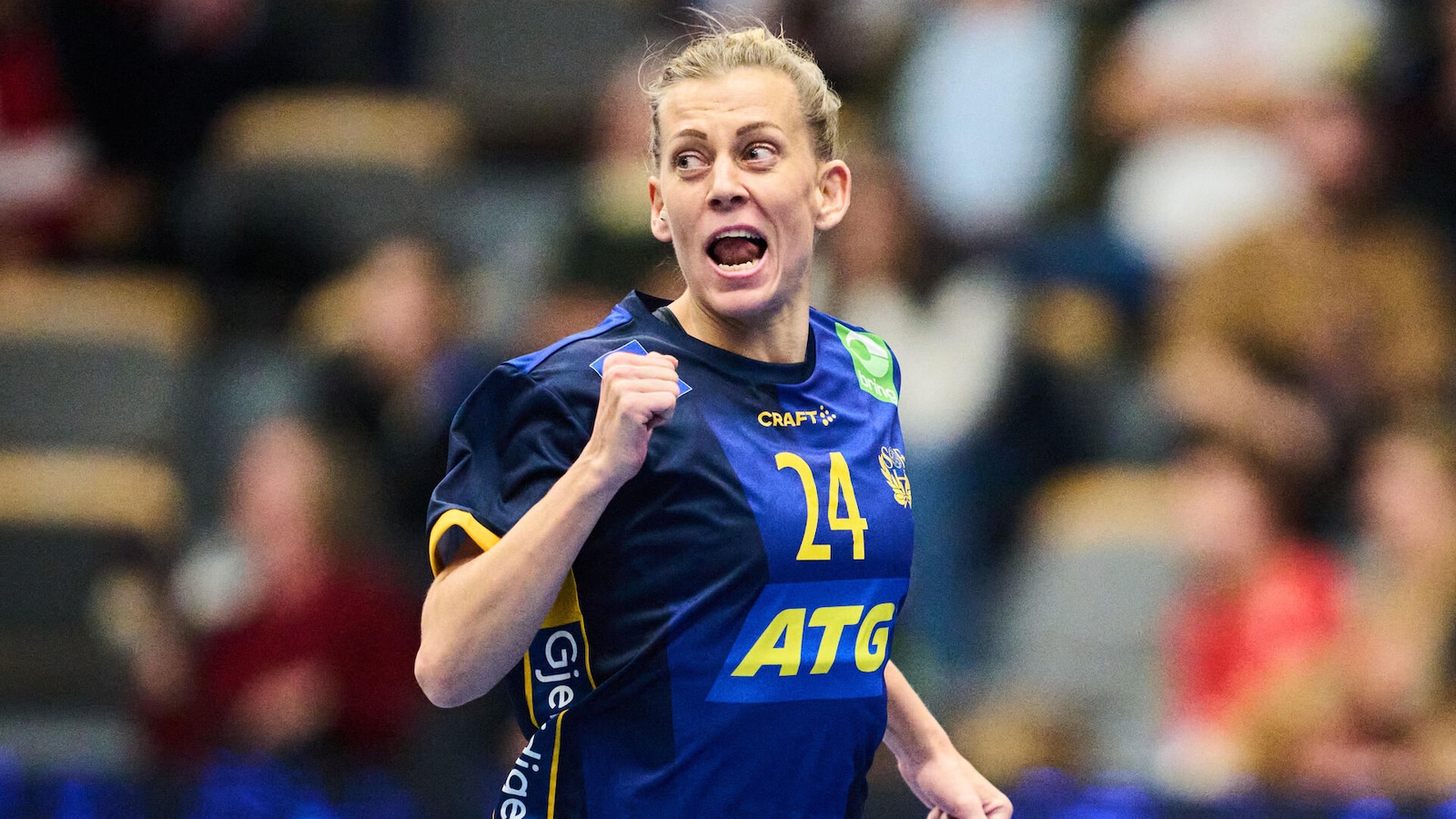 Sverige - Sør-Korea