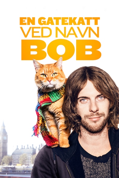 en-gatekatt-ved-navn-bob-2016