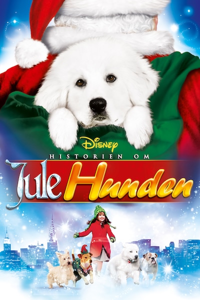 historien-om-jule-hunden-2010